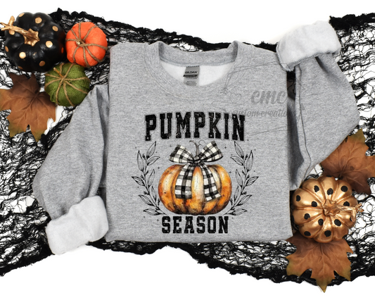 Pumpkin Season Crewneck/Hoodie