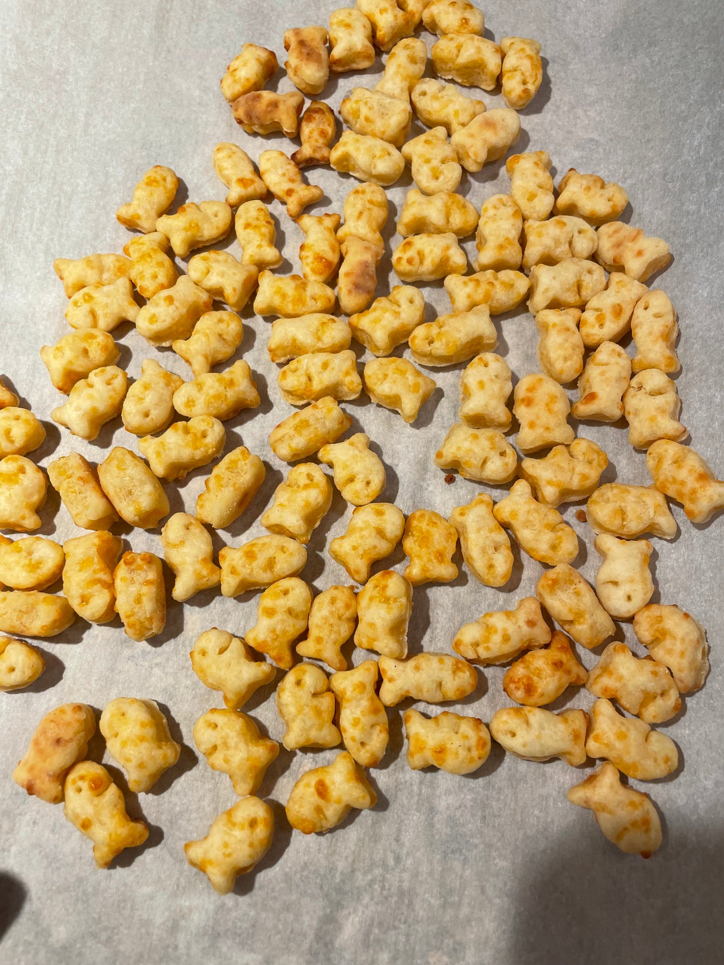 Sourdough Goldfish Cookie Cutter
