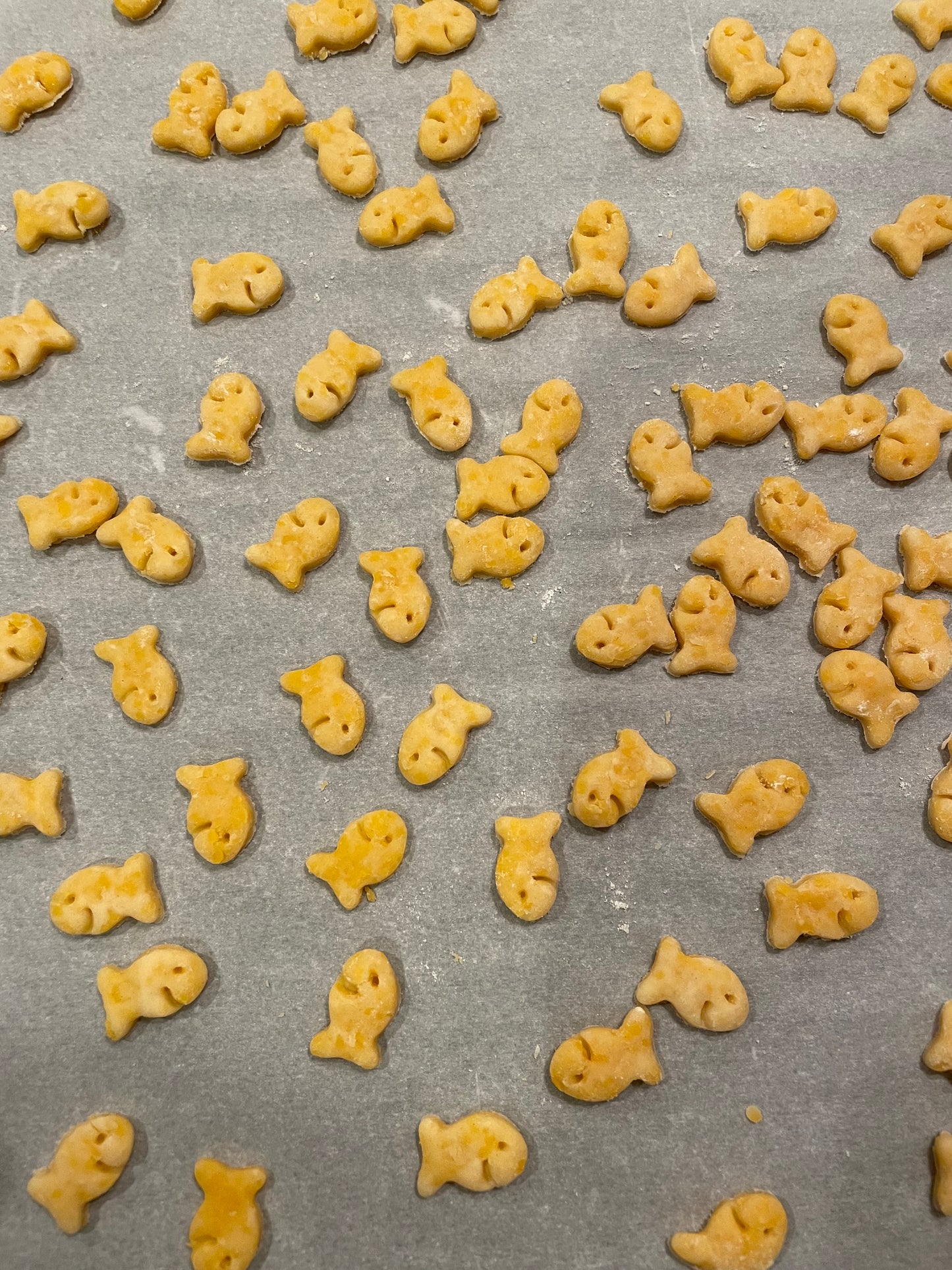 Sourdough Goldfish Cookie Cutter